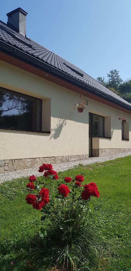 Powroznik 94 Apartment Muszyna Exterior photo